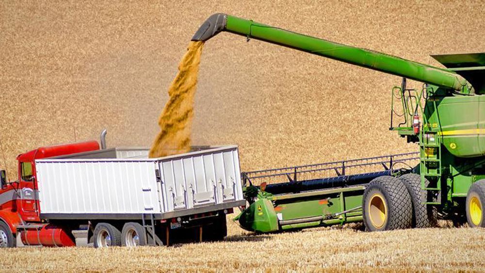 © Wikimedia Commons